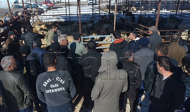 Karaman Damızlık Koyun Keçi Yetiştiricileri Birliği'nden anlamlı kampanya