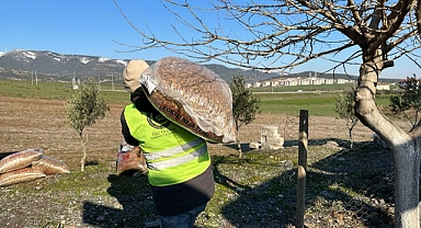 Karaman, deprem bölgesindeki hayvanları da unutmadı