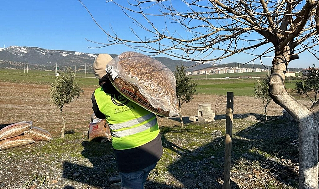 Karaman, deprem bölgesindeki hayvanları da unutmadı