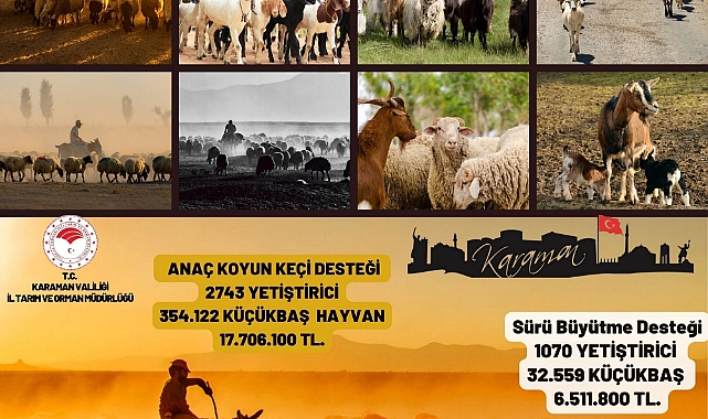 Karaman'da Hayvancılığa Büyük Destek