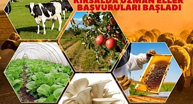 Uzman Ellere 250 Bin TL Hibe Desteği