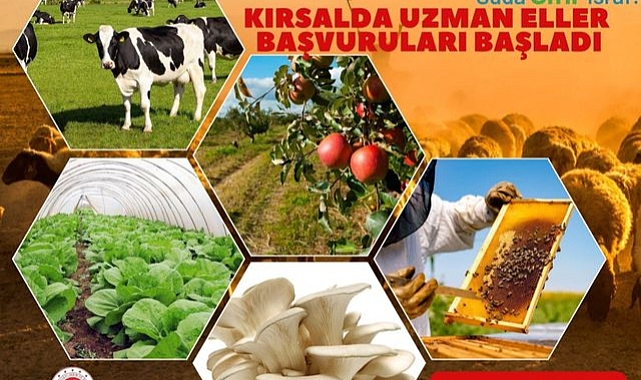 Uzman Ellere 250 Bin TL Hibe Desteği