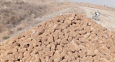Yüzlerce tuluk peynirini araziye attılar!