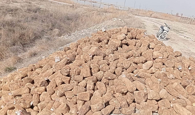 Yüzlerce tuluk peynirini araziye attılar!