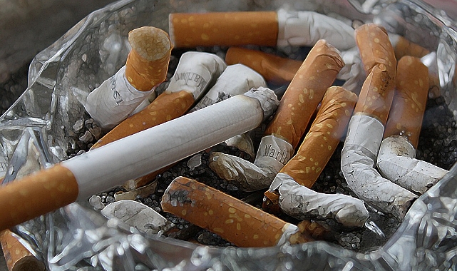 Alkol, sigara tüketimi ve obezite hücrede hasara yol açarak kanser riskini artırıyor