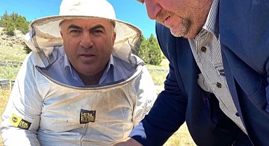 Bayram: Tarım İlaç kalıntıları Arı Kovanlarına Taşınabilir