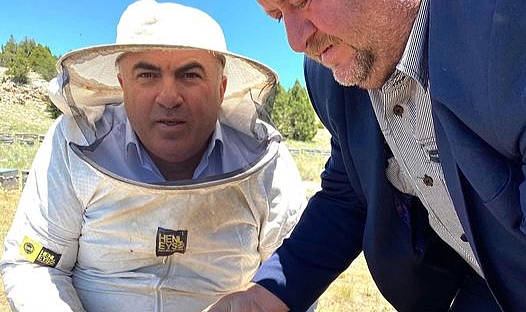 Bayram: Tarım İlaç kalıntıları Arı Kovanlarına Taşınabilir