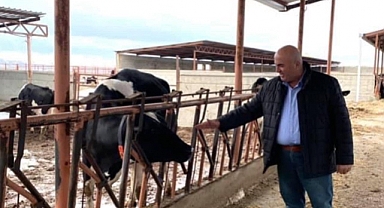 Hayvanların sevk kısıtlamaları 28 Nisan'da kalkıyor
