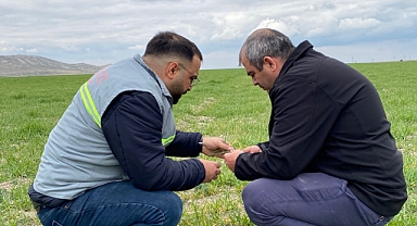 Ekmeğini Tarıma Yeni Kazandırılan Alandan Çıkar Projesi Kontrolleri Yapıldı