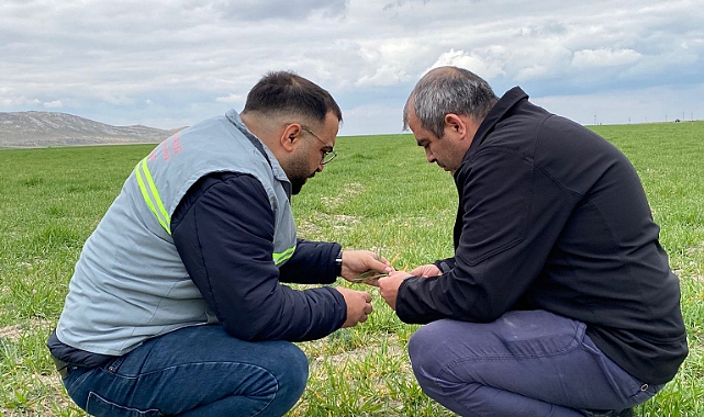 Ekmeğini Tarıma Yeni Kazandırılan Alandan Çıkar Projesi Kontrolleri Yapıldı