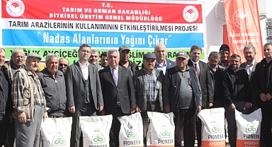 Karaman'da bu yıl 18 bin Dekar alanda Yağlık Ayçiçeği ekimi yapılacak