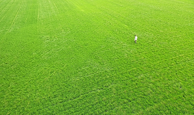 Konya Ovası'nda çiftçi mart ve nisan yağışlarından memnun