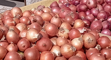 Pazarda Soğanın Ateşi Düştü