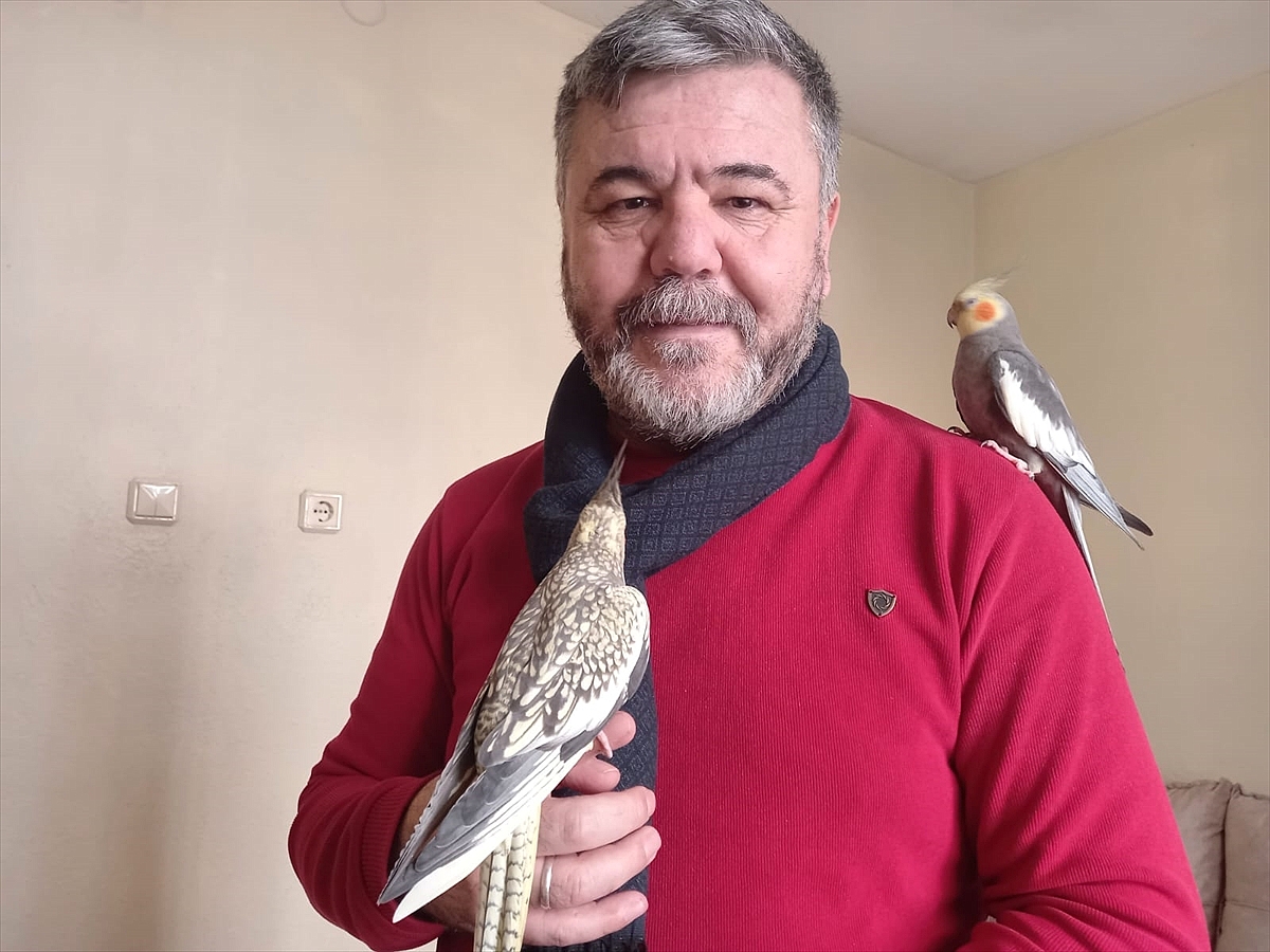 Profesör evinde 10 papağan besliyor