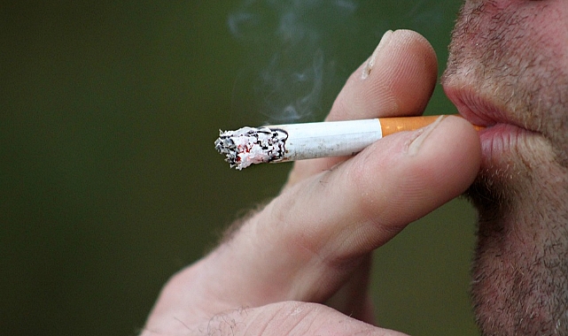 Sigara ve alkol kanser riskini artırıyor
