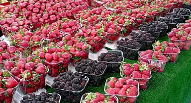 Tezgâhlarda En Fazla Çilek İlgi Görüyor