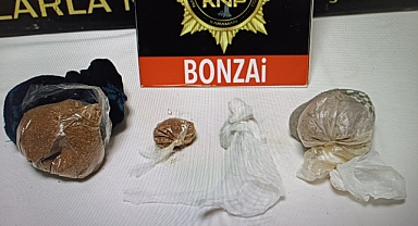 Bonzai satıcıları cezaevinde