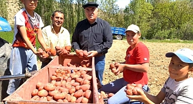 Karaman’da patates ekimine başlandı