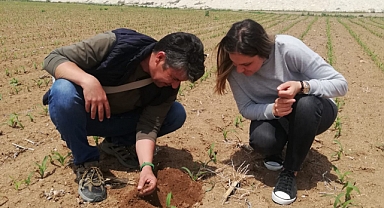 Karaman Tarım ve Orman Müdürlüğünden tel kurdu ve bozkurt uyarısı