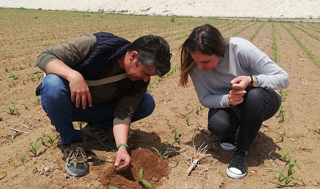 Karaman Tarım ve Orman Müdürlüğünden tel kurdu ve bozkurt uyarısı