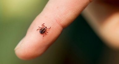 KKKA hastalığı şüphesiyle tedavi gören kişi hayatını kaybetti