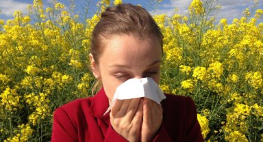 Küresel ısınma polen mevsimini uzatarak alerjiyle geçen günleri artırıyor