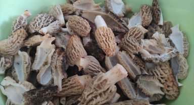 Mantar zehirlenmesi şüphesiyle 3 kişi hastaneye kaldırıldı