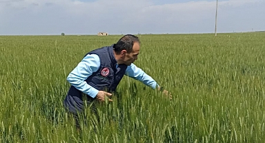 Tarım İl Müdürlüğü’nden Ekili Alanlarda ‘Soğuk Stresi’ Uyarısı