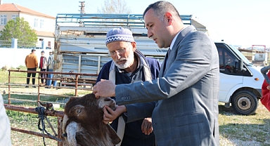 Ünüvar: ''8 koyun ve 4 keçi ırkı üzerinde 2 yıldır çalışıyoruz''