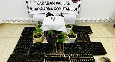 Yasadışı Kenevir Eken 3 Kişiden Biri Tutuklandı