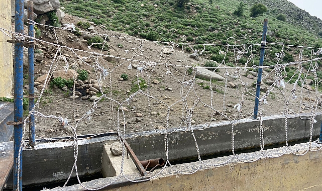At Hırsızlarının Uyguladığı Yöntem Pes Dedirtti