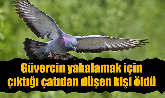 Güvercin yakalamak için çıktığı çatıdan düşen kişi öldü