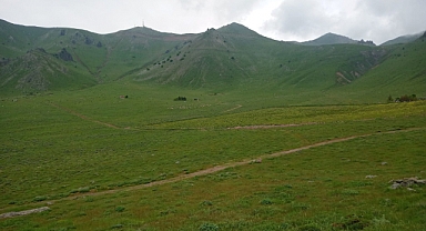 Karadağ Balı İçin Organik Sertifika Çalışmalarına Başlandı