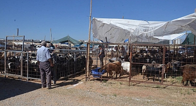 Karaman'da Hayvan Pazarında Kurban Bayramı Hareketliliği Yaşanıyor