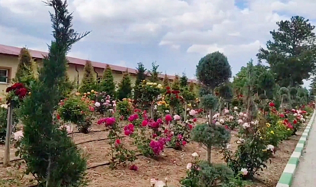 Karaman Mezarlığı Bayram Öncesi Daha Da Güzelleşti