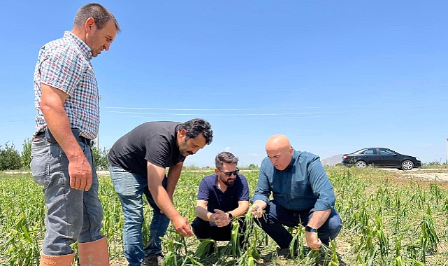 Karaman tarımında asrın felaketi