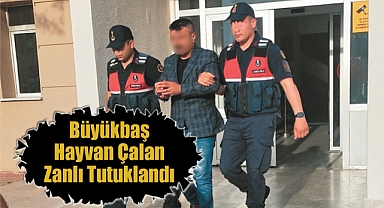 Konya'da büyükbaş çalan zanlı tutuklandı