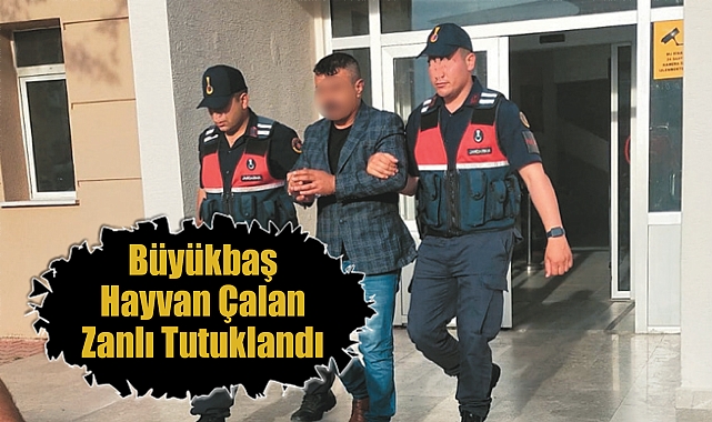 Konya'da büyükbaş çalan zanlı tutuklandı