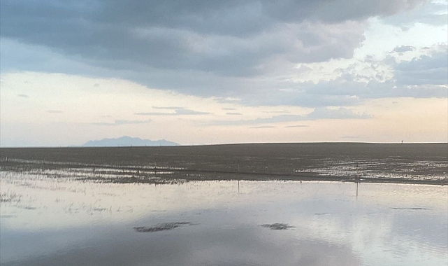 Konya'da sağanak nedeniyle tarım arazilerini su bastı
