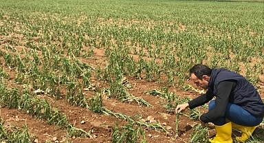 Köylerde Hasar Tespit Çalışmaları Başladı