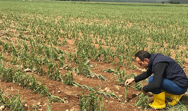 Köylerde Hasar Tespit Çalışmaları Başladı