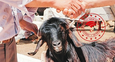 Kurban Bayramı öncesi denetimler artırıldı