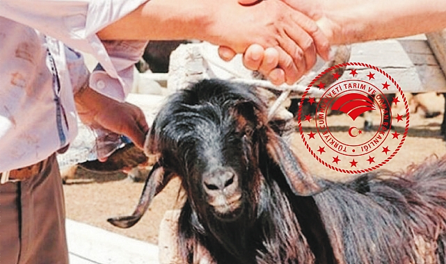 Kurban Bayramı öncesi denetimler artırıldı