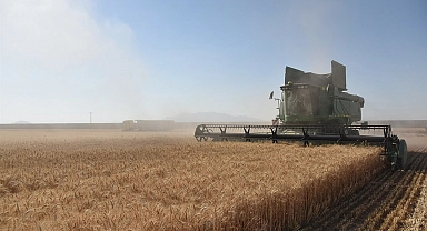 Toprak Mahsulleri Ofisi, 2023 hububat alım detaylarını belirledi