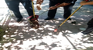 Bahçeye giren yılan itfaiye ekiplerince yakalandı