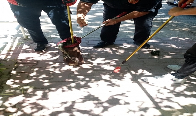 Bahçeye giren yılan itfaiye ekiplerince yakalandı