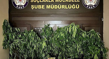Evinde uyuşturucu imalatı yapan şüpheli tutuklandı