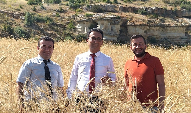 Göktepe YİBO Ektiğini Biçiyor