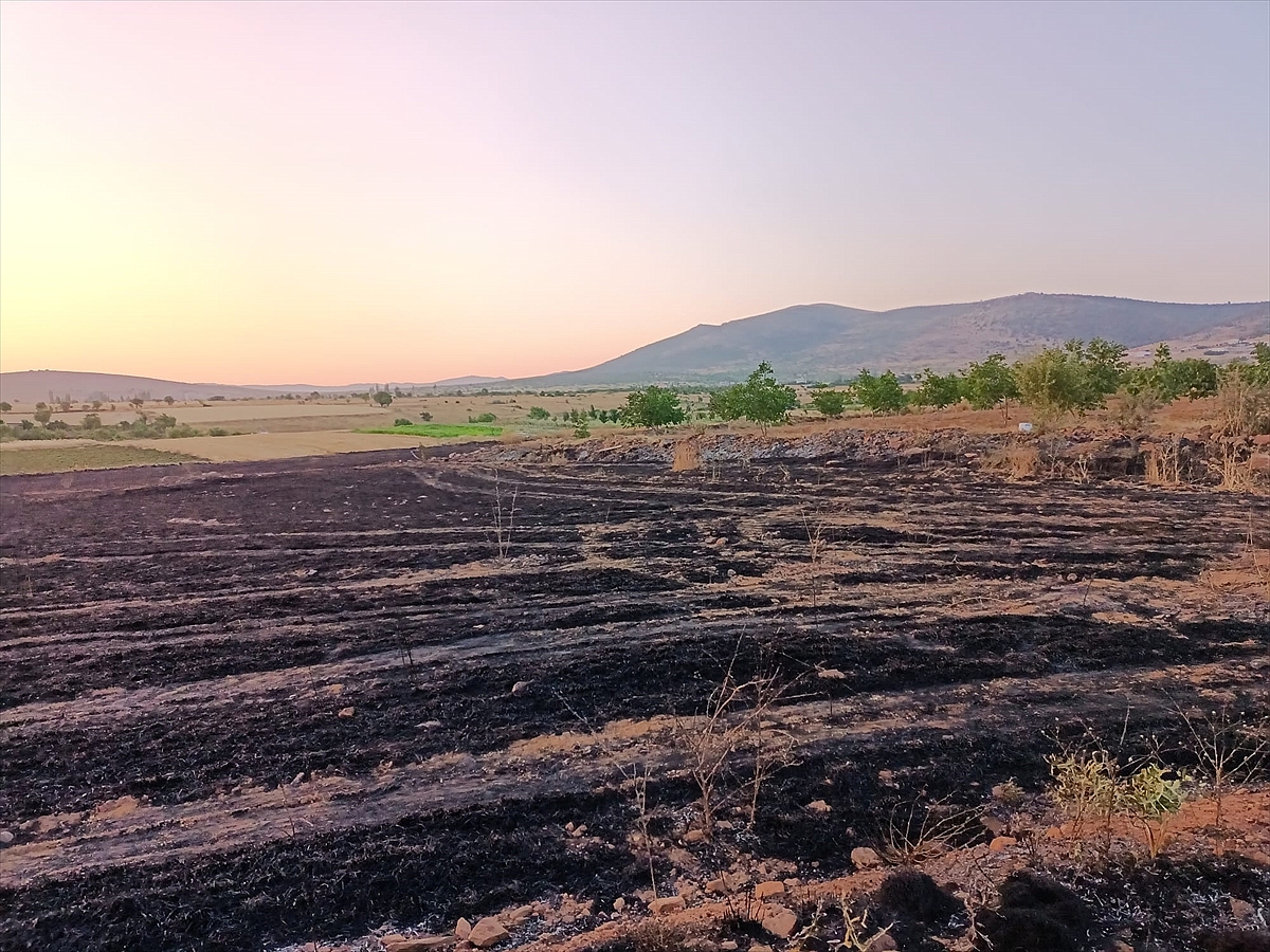Hüyük'te arpa ekili tarla yandı