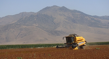 Karabuğday hasadı yapıldı